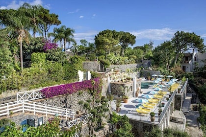 Relaxation Escape: Ischia Thermal Park Day Trip from Naples