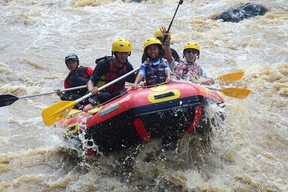 Bali White Water Rafting with Private Transfer and Lunch