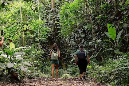Hiking in a Sanctuary DE Biodiversité Tahiti West Coast