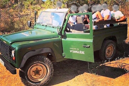 4x4 tour in a winery followed by a tasting