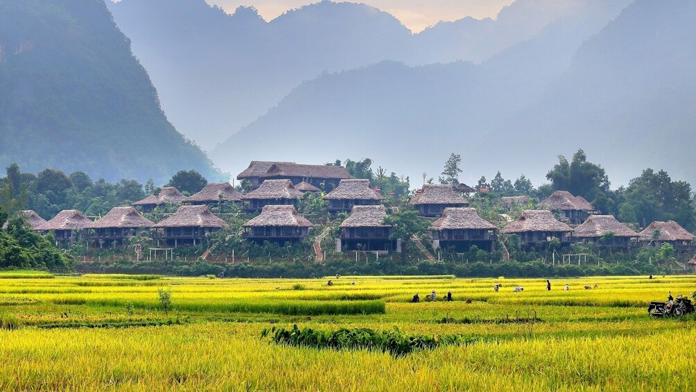 Field and village in Mai Chau