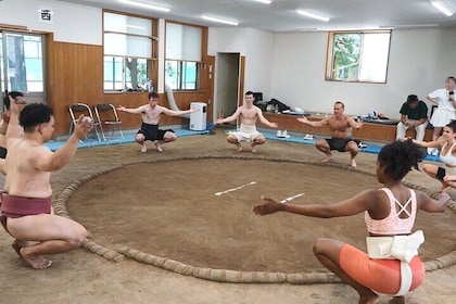 Sumo Experience Authentic Immersive Hands-on Tokyo Meet Sanctuary