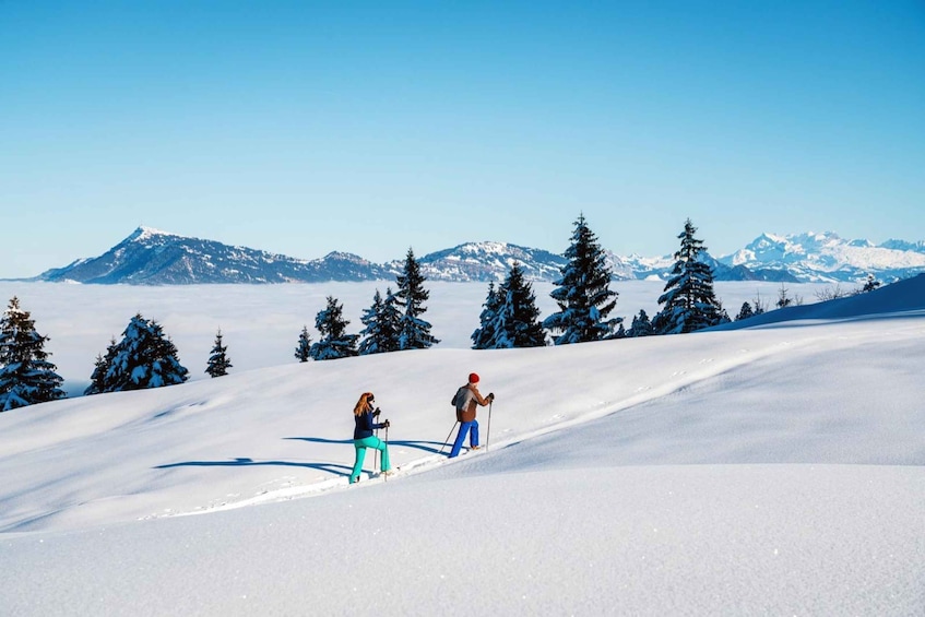 Picture 6 for Activity Kriens: Mt. Pilatus by Panoramic Gondola and Aerial Cableway