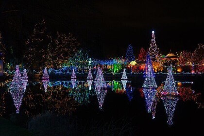 Vancouver and Van Dusen Garden Holiday Lights Tour