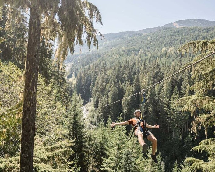 Picture 1 for Activity Whistler Zipline Experience: Ziptrek Bear Tour