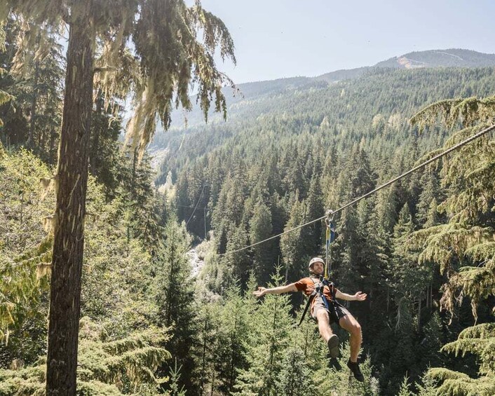 Picture 1 for Activity Whistler Zipline Experience: Ziptrek Bear Tour