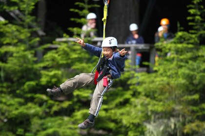 惠斯勒滑索体验：Ziptrek 熊之旅