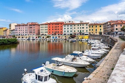 Livorno Guided Tour Top Sights and Local Stories