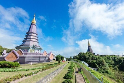 Doi Inthanon Waterfalls Rice Fields Tour from Chiang Mai