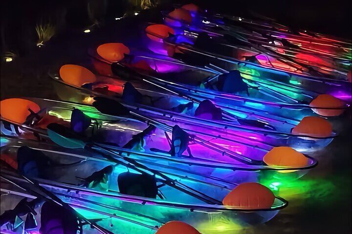 Transparent Canoes Illuminated on the Seawall of Hope