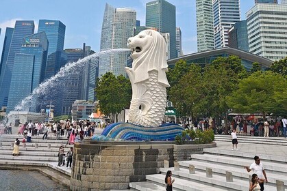Explore Singapore city by Car