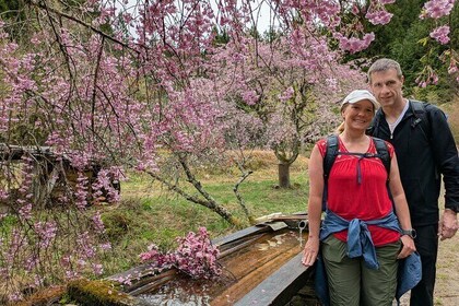 8-Hour Nakasendo Hike from Nagoya – Licensed Guide & Private Car