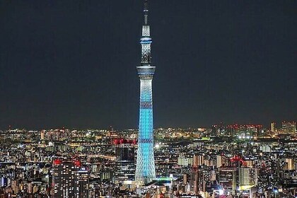 Tokyo Sightseeing/ City Tour by Private Car with English Guide