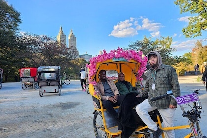 Central Park Pedicab Tour– Top Highlights