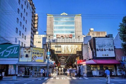 From Osaka Port 10 Hour Osaka Private Tour with Itinerary