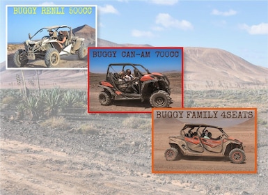 Fuerteventura: Dune Buggy Tour in Northern Fuerteventura