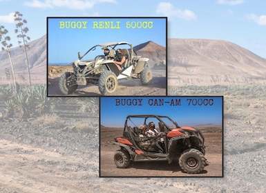 Fuerteventura: Fuerteventuran pohjoisosassa: Dyyni Buggy Tour in Northern F...