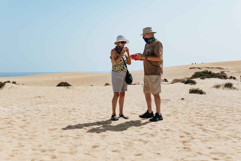 Picture 3 for Activity Fuerteventura: Dune Buggy Tour in Northern Fuerteventura