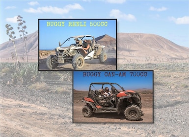 Fuerteventura: Fuerteventuran pohjoisosassa: Dyyni Buggy Tour in Northern F...