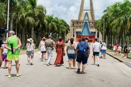 City Tour & Half-Day Safari Experiences