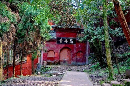 2-Day Panda Base plus Leshan Giant Buddha and Emei Mountain Tour