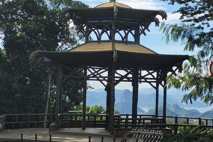 Rio Tijuca Private Rainforest Full Day Tour