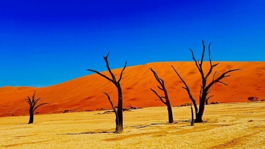 6-Day Namibia Desert and Wildlife Safari Adventure