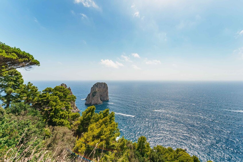 Picture 22 for Activity From Naples: Gulf of Naples & Capri Sightseeing Boat Tour