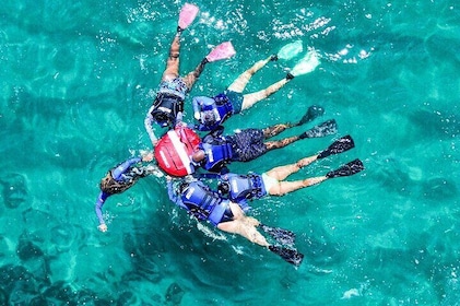 Guided snorkel diving