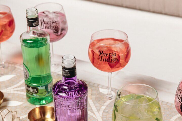 Guided Tour in Spanish with Tasting of 5 GINs and a Gin & Tonic