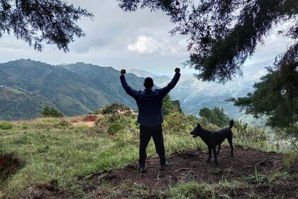 Ecological Walk through Medellin