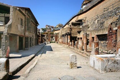 Herculaneum Skip the Line Tickets