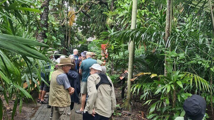 Wetlands to Waves: A Unique Mindful Bird Experience from Adelaide
