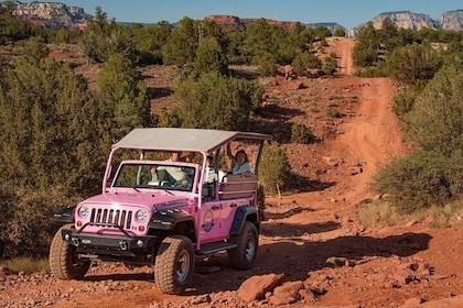 Diamondback Gulch 4x4 Adventure