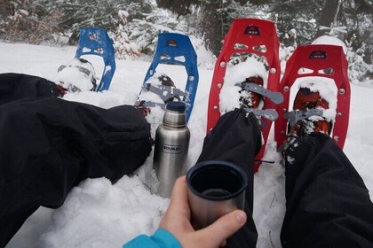 Snowshoe Survival Experience in Levi