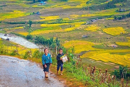 Northern Vietnam Discovery: 7-Day Journey to the Top Highlights