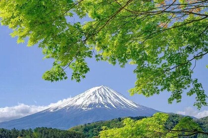 Private Mt Fuji Area Day Trip with English Speaking Driver