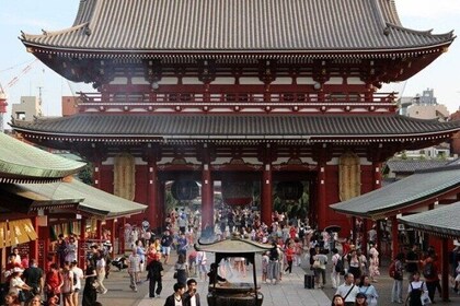 All-inclusive Tokyo Private Guided Tour with Hotel Pickup