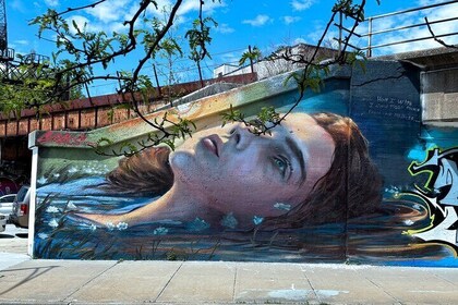 Offbeat Fulton Market Graffiti and Murals Street Art Tour