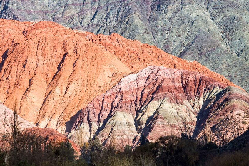 Picture 11 for Activity From Jujuy: Day Trip to Quebrada de Humahuaca