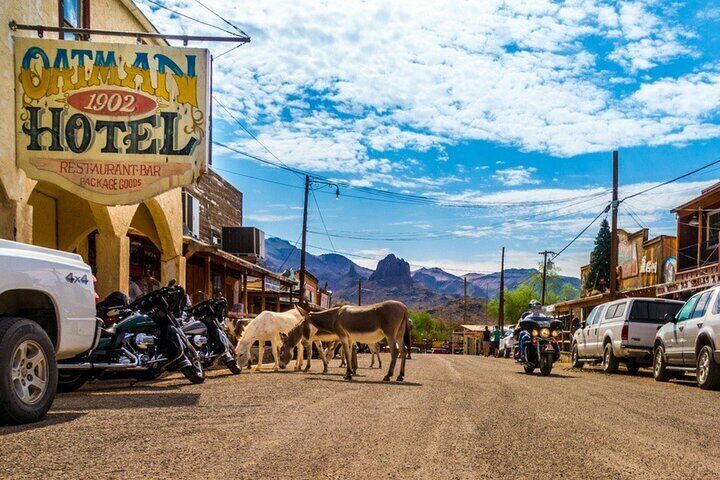 Historic Route 66 Bus Tour to Oatman