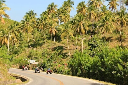 Private Coffee Trail quad bike Tour in Samana