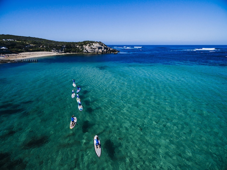 Paddle boarders queue up in Margaret River, Australia 