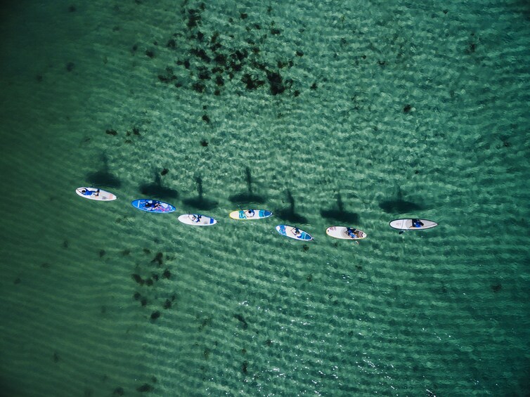 Aerial drone view of paddle boarders queuing up in Margaret River, Australia 