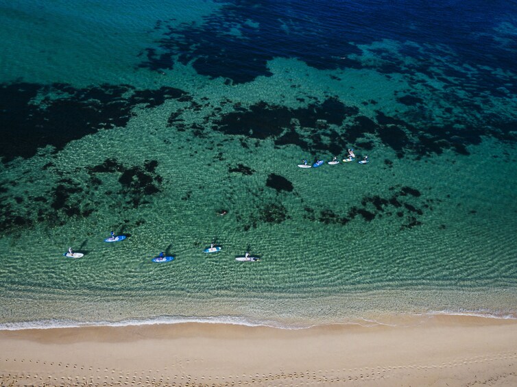 Aerial drone image of Paddle boarders off the Australian coast