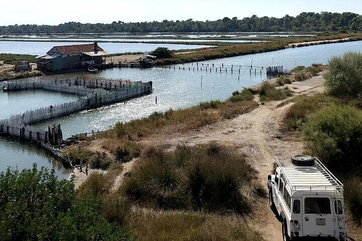 From Tirana, Durres & Golem: Lagoon of Karavasta 4x4 Jeep Safari