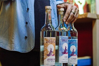 Mezcal Artisan Tasting with Tapas in Tulum