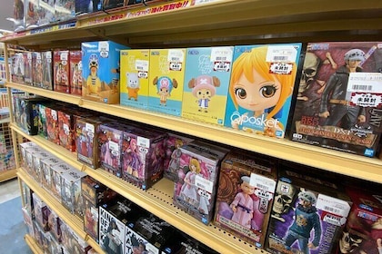 Maid & Magic: Akihabara’s Ultimate Otaku Tour