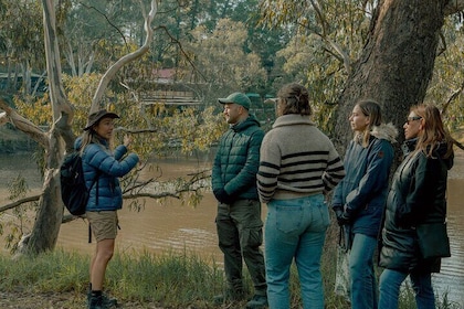 Melbourne Tours Walk the Yarra & Historic Boathouse Lunch