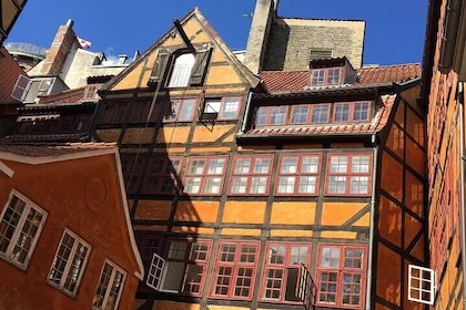 3 Hour Walking Tour in Copenhagen